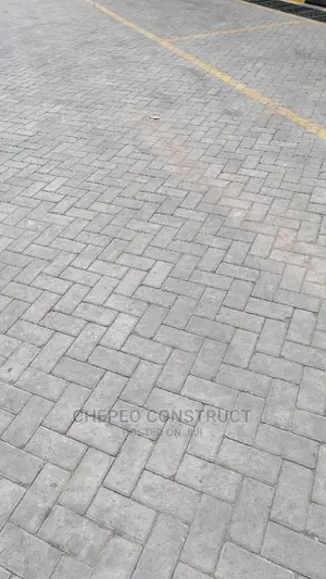 Ordinary Cabro Pavers for Your Parking Lot and Driveways
