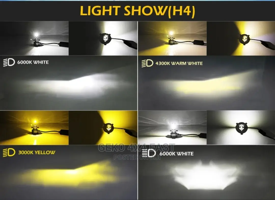 LED Headlight Bulb, H4, 3 Colour All Weather Driving
