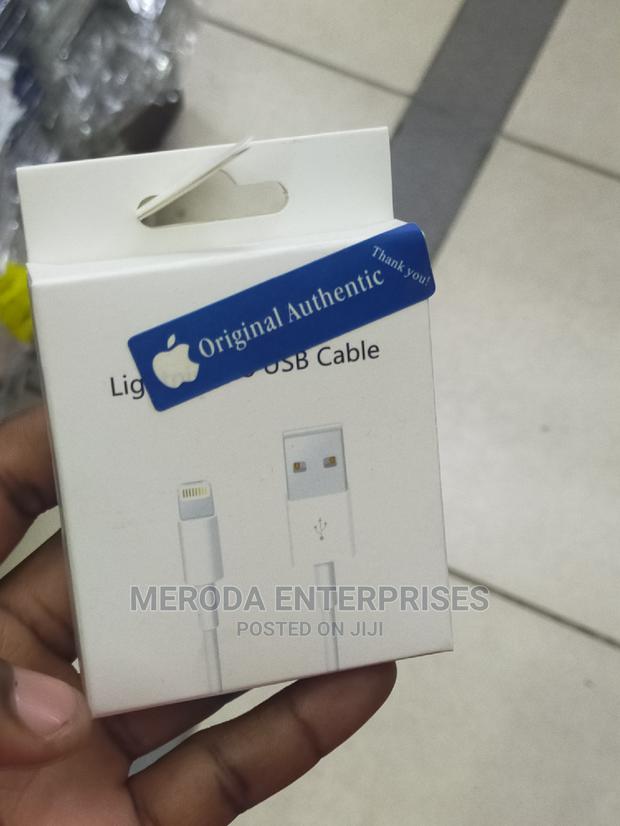 iPhone Data Cable - main view