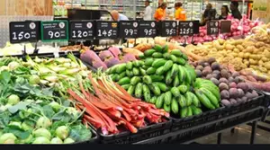 POS Software for Fruit Vendor and Green Grocer