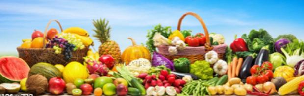 Greens ,Vegetable AND FRUITS Pos Software - main view