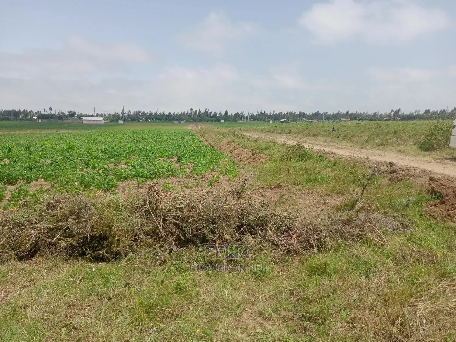 Agriculture Land on Sale