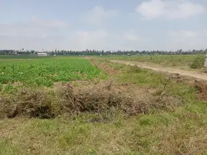 Agriculture Land on Sale