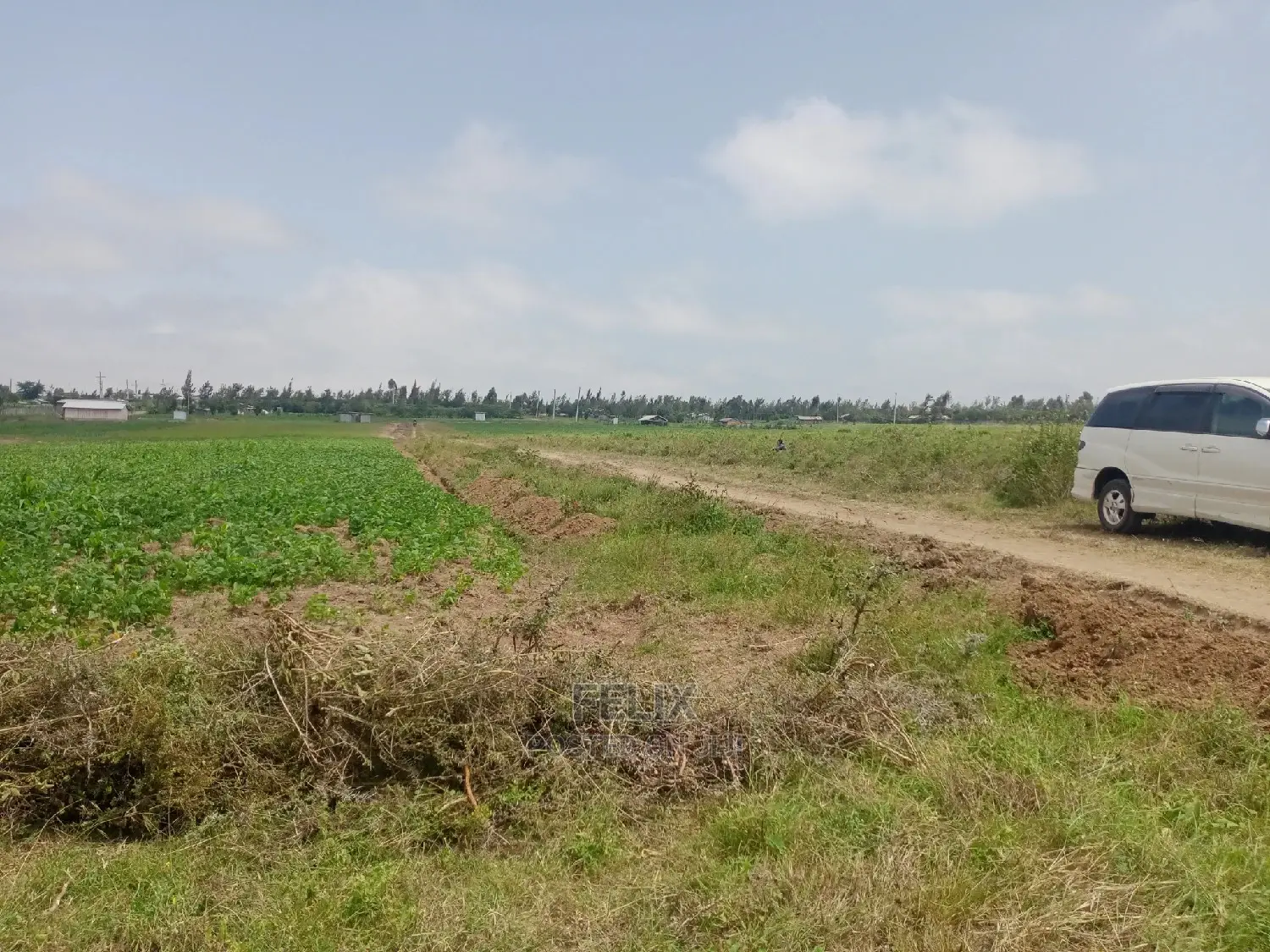 Agriculture Land on Sale