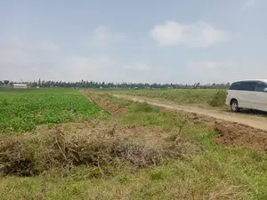 Agriculture Land on Sale