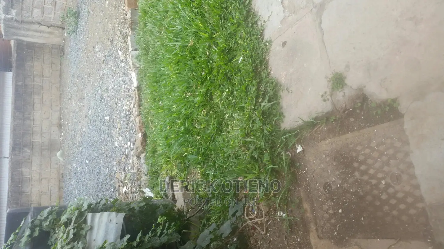 3bdrm Bungalow in Kilimani for Rent