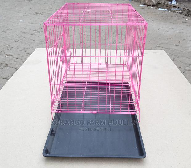 Single Dog Cage. - main view