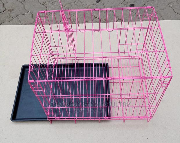 Single Dog Cage. - thumbnail 3