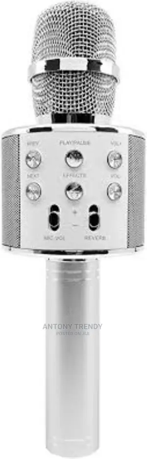 Simple Handled Microphone Karaoking Karaoke Microphone - Wir