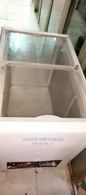 Deep Freezer 300L