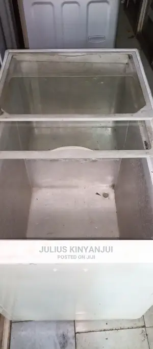 Deep Freezer 300L