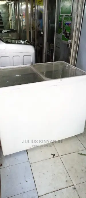 Deep Freezer 300L
