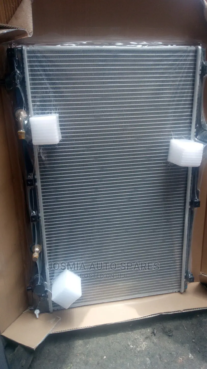 Ipsum, Voxy, Noah Radiator