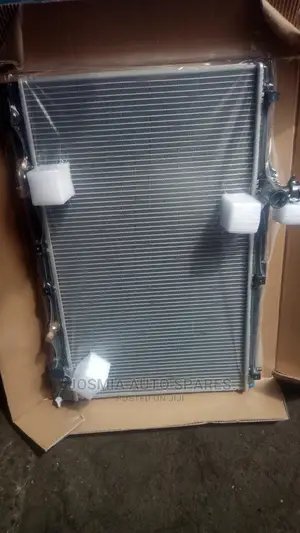 Ipsum, Voxy, Noah Radiator