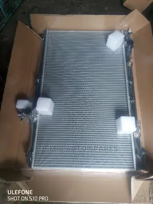 Ipsum, Voxy, Noah Radiator