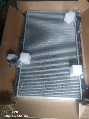 Ipsum, Voxy, Noah Radiator