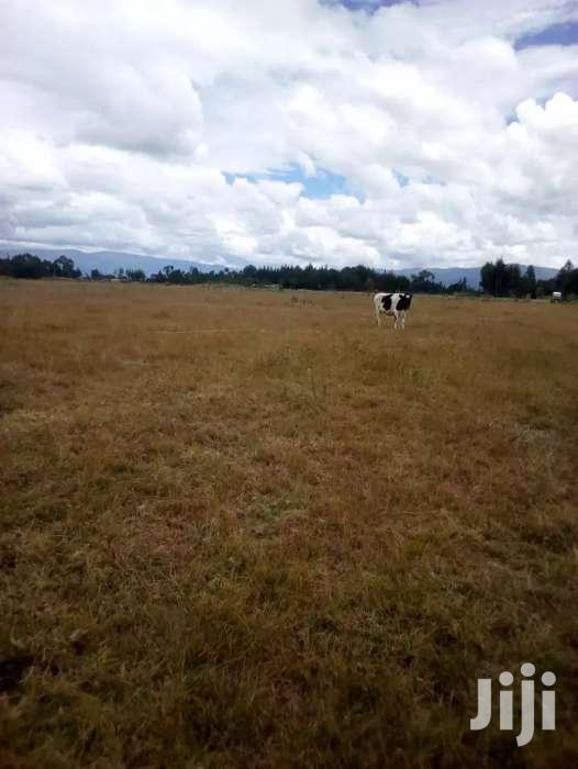 16 Acres In Kinangop Njabini