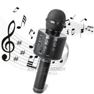 Long Playing Time High Compatibility Wireless Karaoke Mic