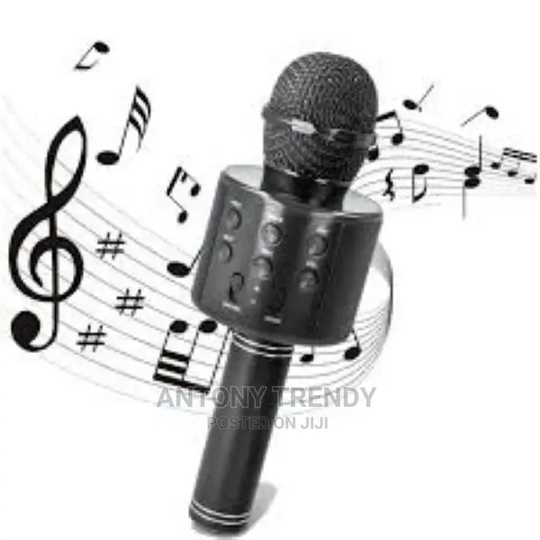Long Playing Time High Compatibility Wireless Karaoke Mic