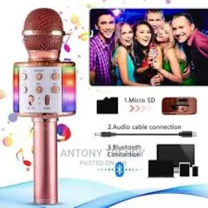 Two Channel Stereo Loudspeaker Karaoke Mic With Built-in Sp