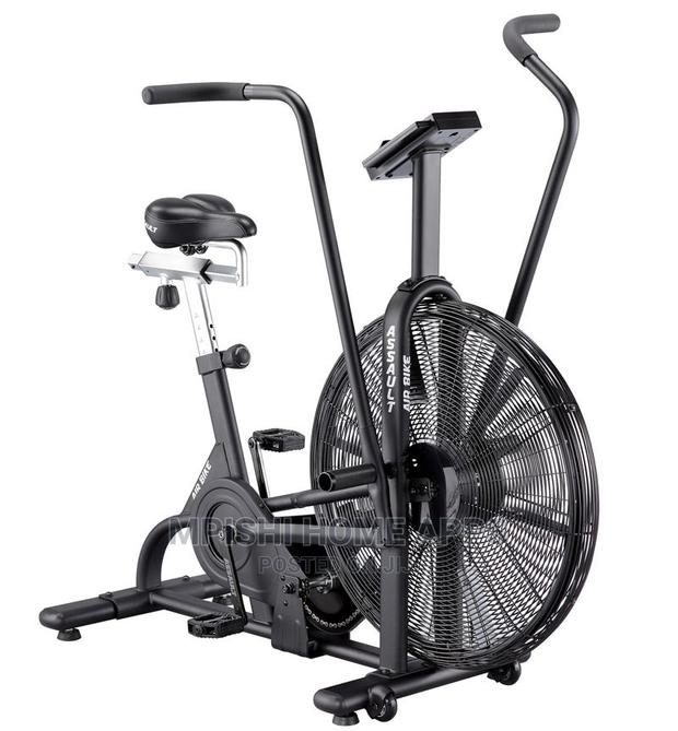 Assault Air Bike - main view