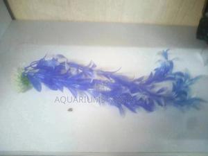 Aquarium Plants ,Aquarium Accessories - thumbnail 2