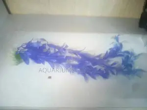 Aquarium Plants ,Aquarium Accessories