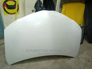 Axio 2013 Bonnet.