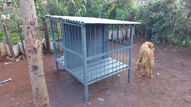 Assorted Dog Cages - main view