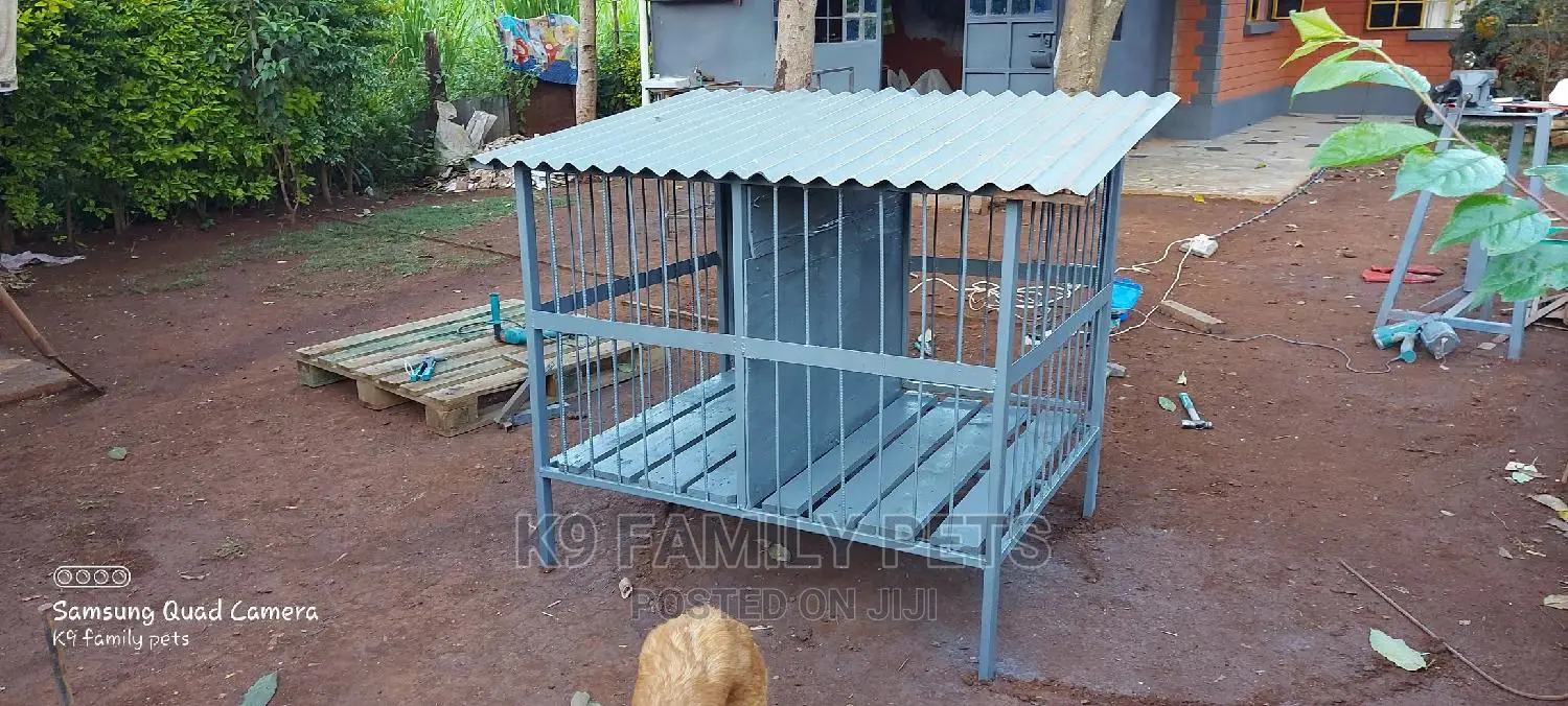Assorted Dog Cages
