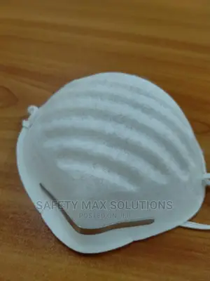 Disposable Dust Mask