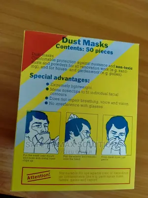 Disposable Dust Mask