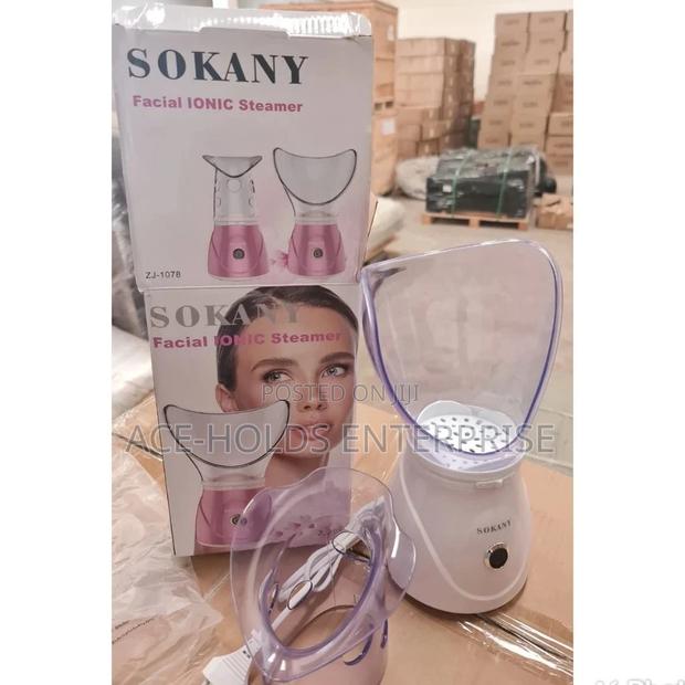 Sokany Facial Steamer