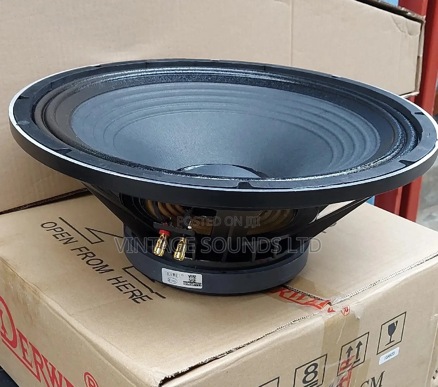 Derwel 15inch Naked Speaker