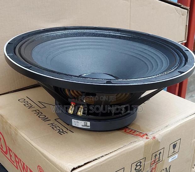 Derwel 15inch Naked Speaker - thumbnail 2