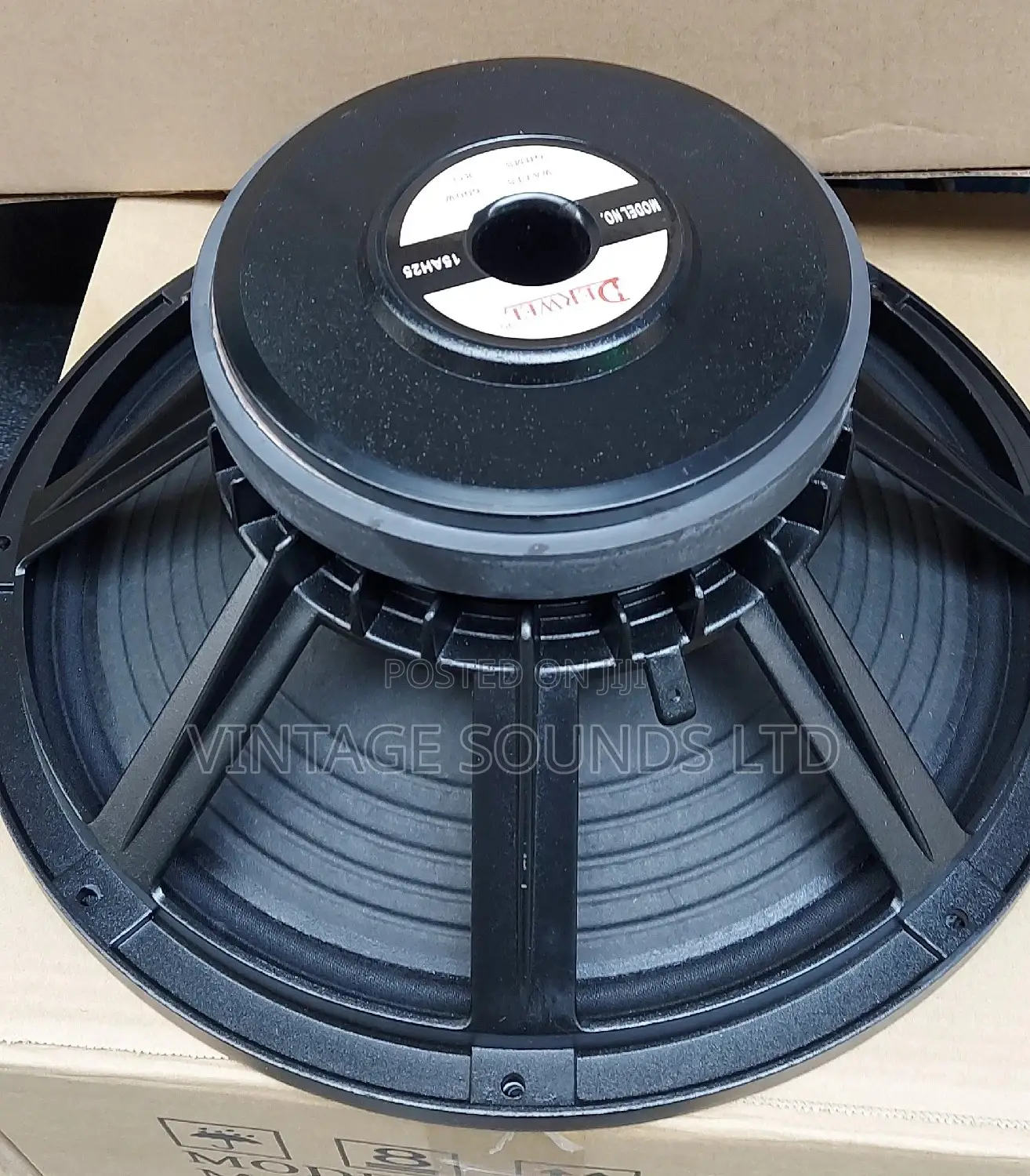 Derwel 15inch Naked Speaker