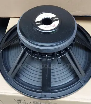 Derwel 15inch Naked Speaker