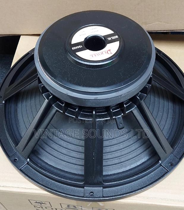 Derwel 15inch Naked Speaker - main view