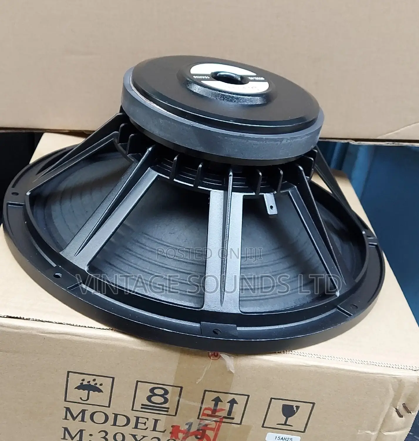 Derwel 15inch Naked Speaker