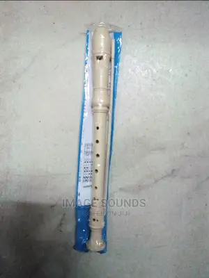 Recorder Flute