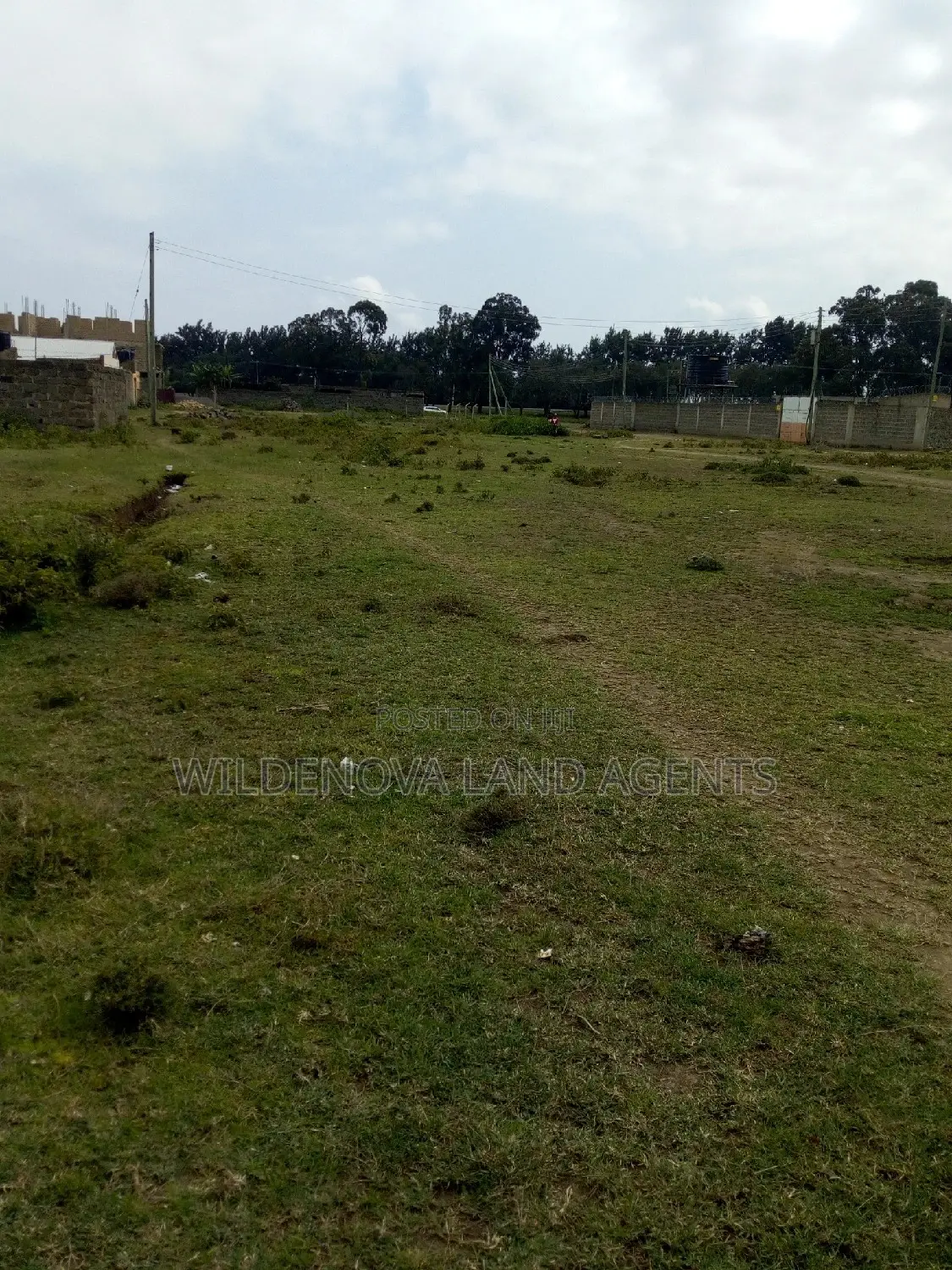 20 Acre of Land on Sale in Naivasha Town