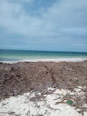 4.5 Acres Sandy Beach on Sale at Malindi.
