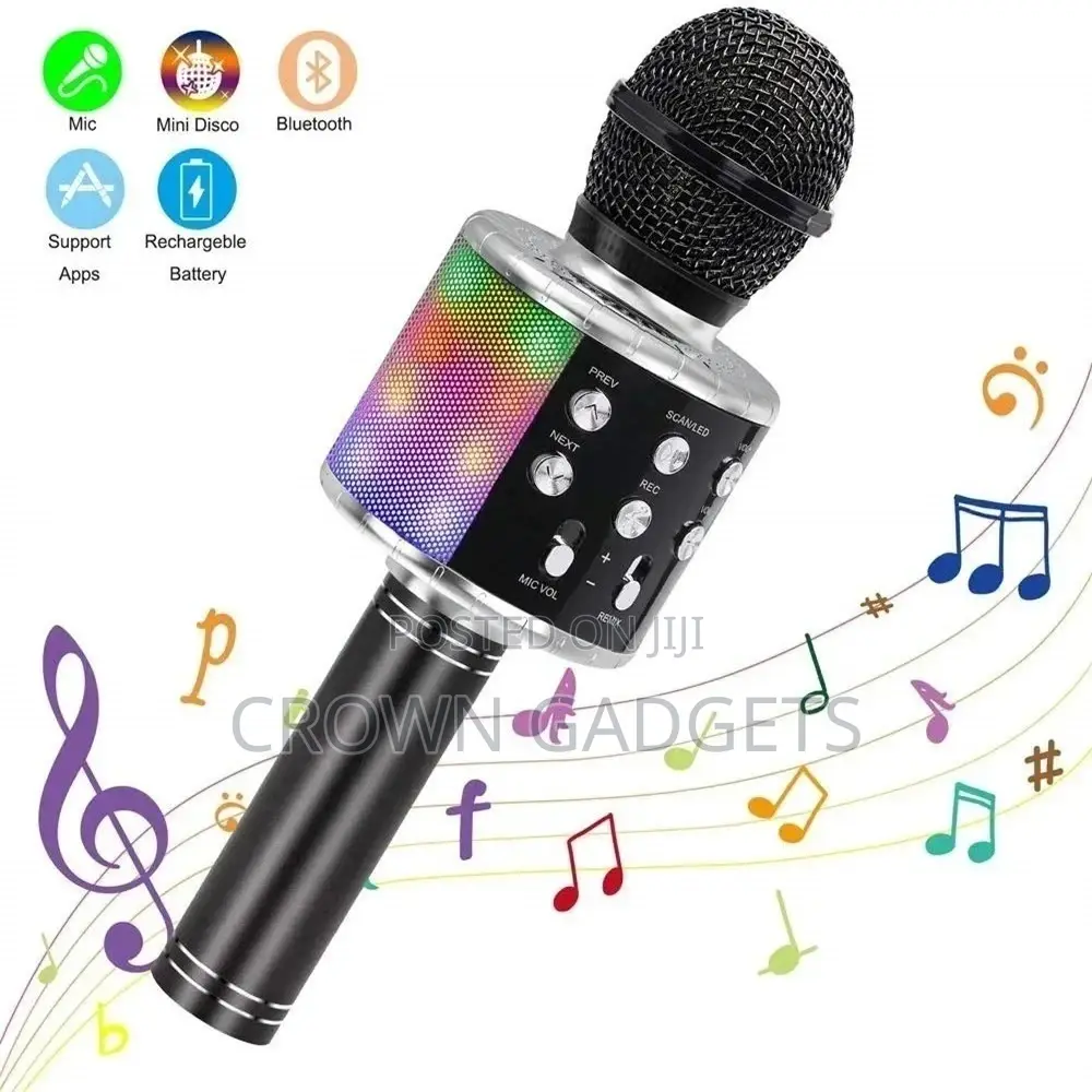 Wireless Karaoke Mic for Ceremonies