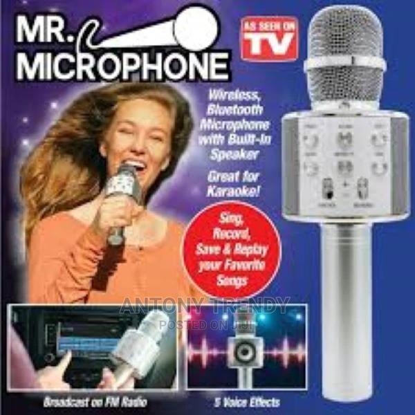 Popular Karaoke Microphone - main view