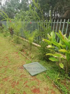 Quality Pallisade Fence