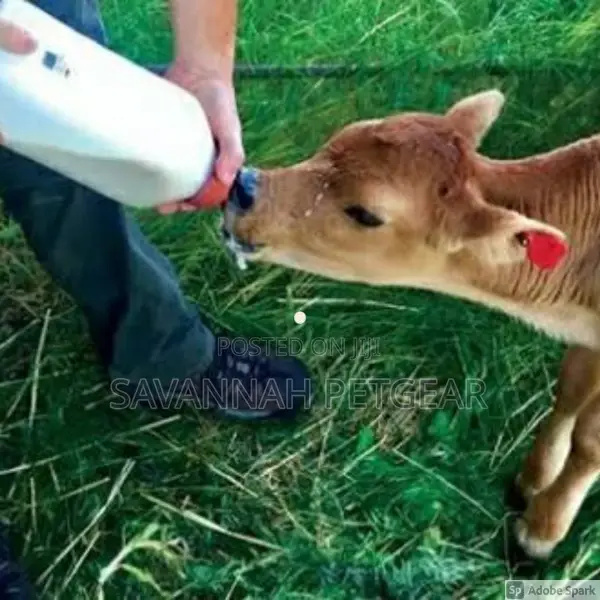 Calf Feeding Bottle - 2 Liters