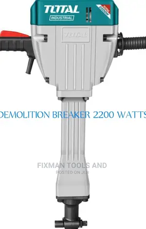Total Demolition Breaker, 2200 Watts, 30 Kg