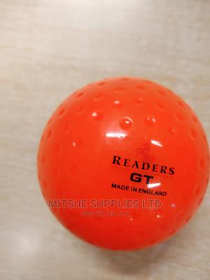 Hockey Ball Dimple GT. Reader - thumbnail 2