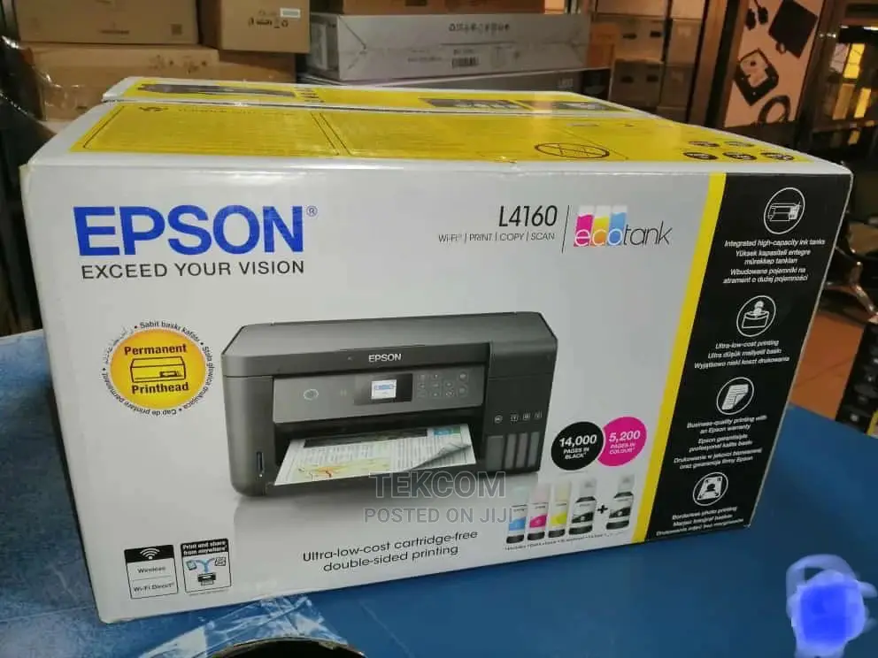 Epson L4160 Ecotank