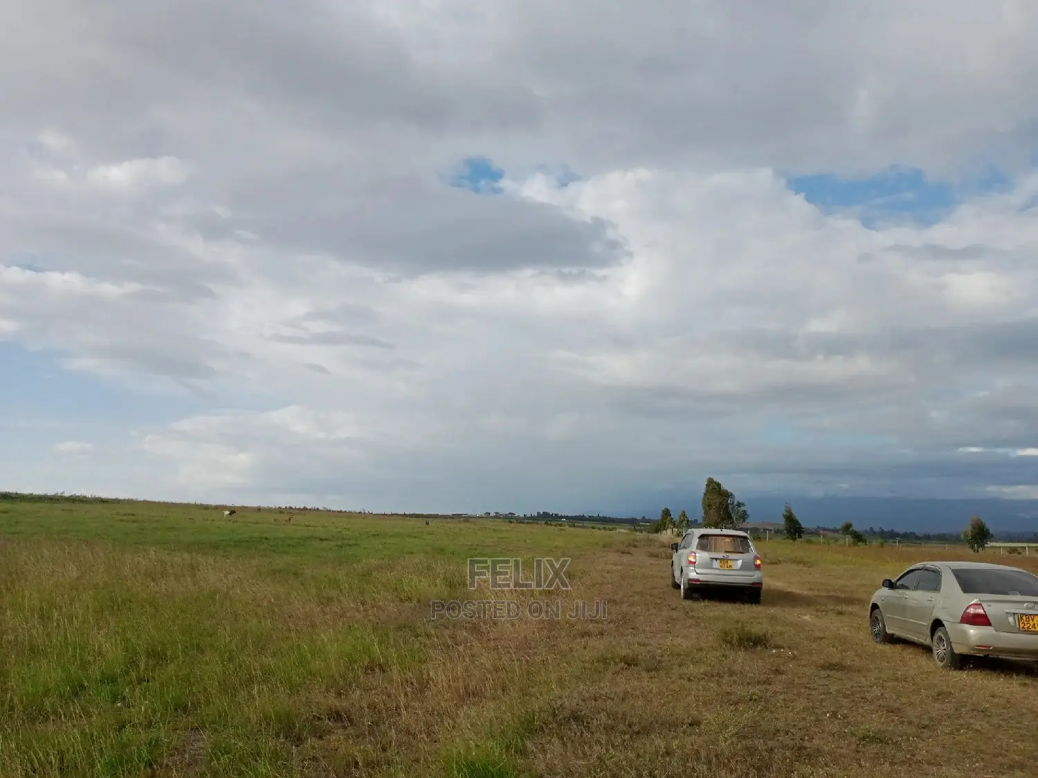 One Acre Narumoru/Solio